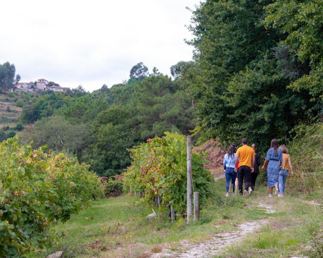 Moimenta Quinta Do Tapadinho - Wine & Tourismヴィラ エクステリア 写真