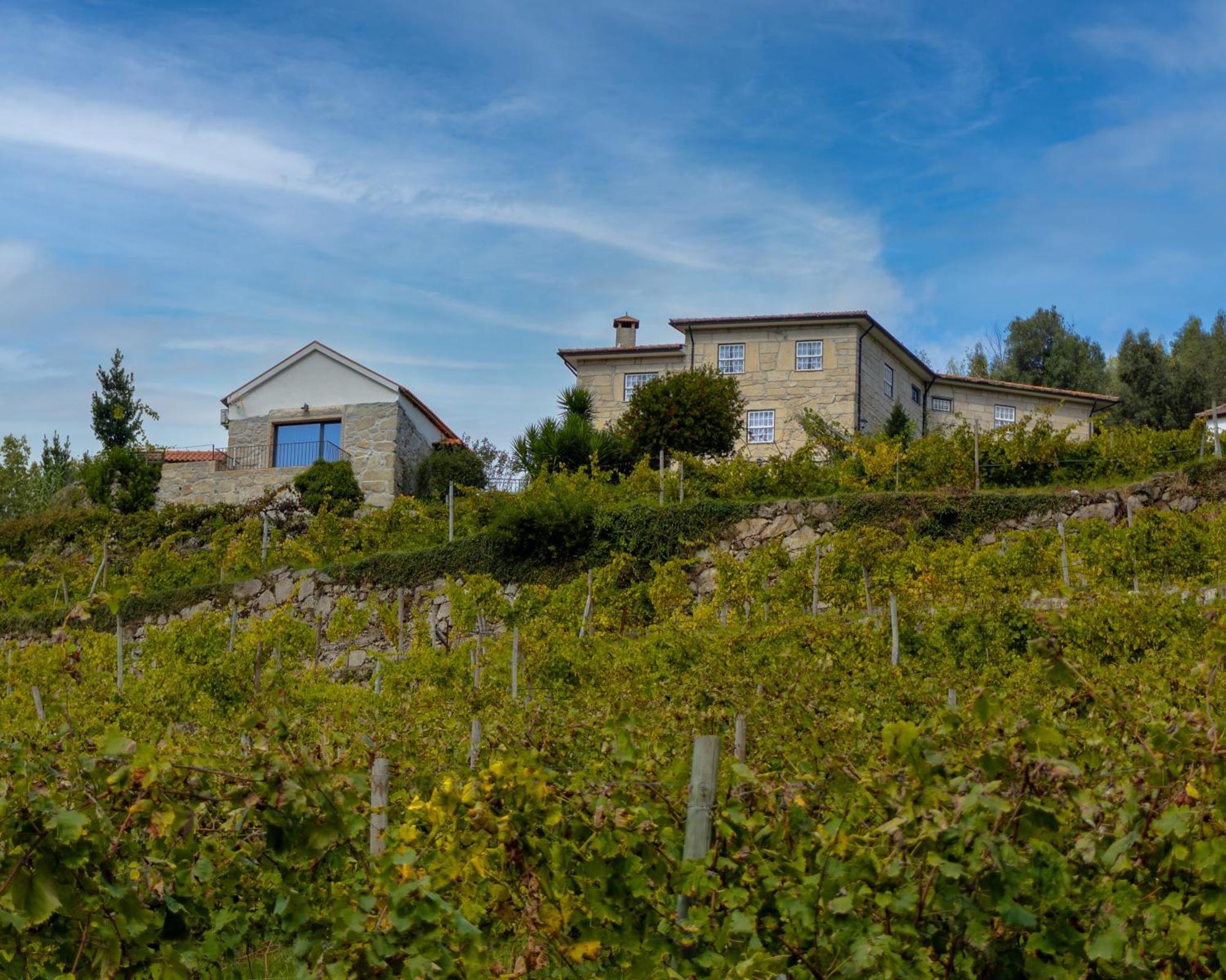 Moimenta Quinta Do Tapadinho - Wine & Tourismヴィラ エクステリア 写真